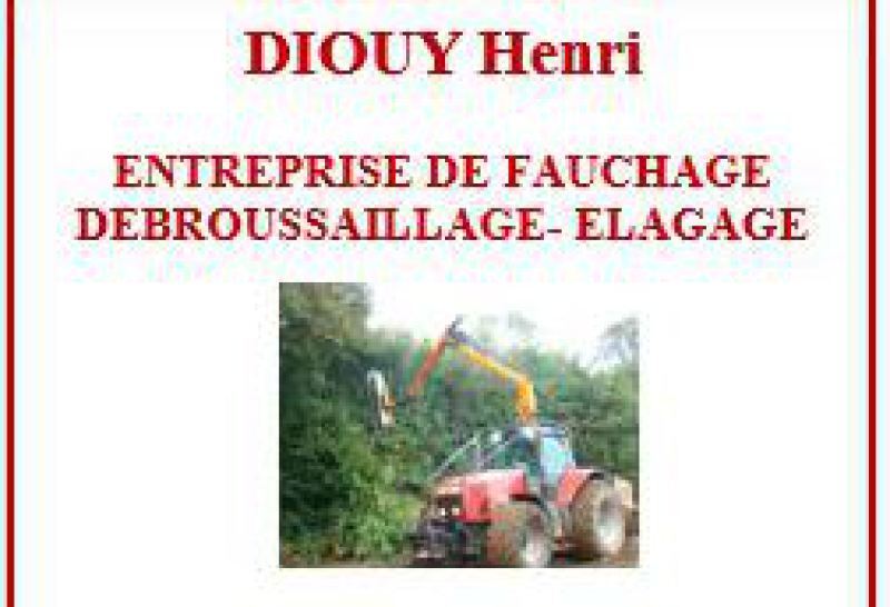 DIOUY Henri